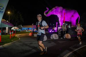 BIB: 
                            <button type="button" onclick="openModal(26552103)" class="btn btn-primary btn-sm float-right btn-popup" data-toggle="modal" data-target=".modal-high-quality">
                        <i class="fas fa-shopping-cart"></i> Add to Cart
                    </button>
                                            <button type="button" onclick="isThisMe(26552103, true)" class="btn btn-success btn-sm float-right btn-popup btn-isme hidden" data-toggle="tooltip" data-placement="bottom" title="นี่คือรูปของคุณใช่ไหม คลิกที่นี่เพื่อเอาเข้าอัลบั้ม">
                        <i class="fas fa-plus"></i> Add to album
                    </button>
                    <button type="button" onclick="isThisMe(26552103, false)" class="btn btn-warning btn-sm float-right btn-popup btn-isnotme hidden">
                        <i class="fas fa-ban"></i> Remove from album
                    </button>